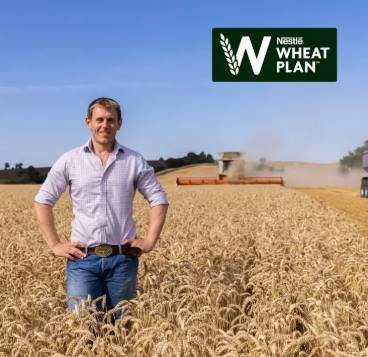 A person standing in a wheat field

AI-generated content may be incorrect.
